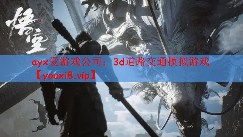 ayx爱游戏公司：3d道路交通模拟游戏