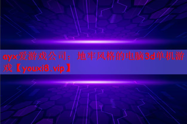 ayx爱游戏公司：地牢风格的电脑3d单机游戏