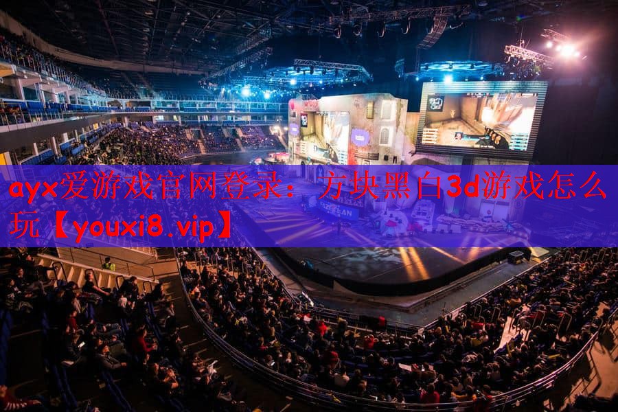 方块黑白3d游戏怎么玩