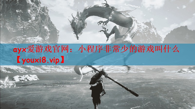 小程序非常少的游戏叫什么