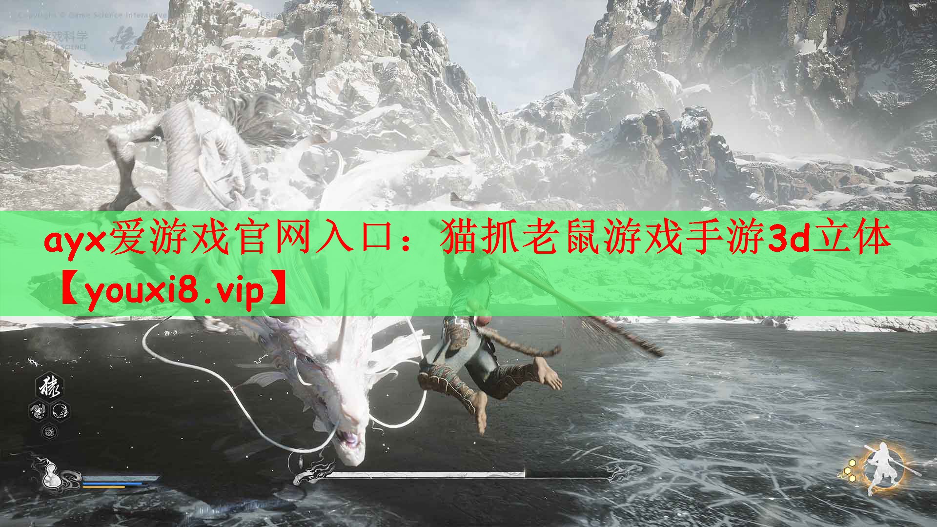 猫抓老鼠游戏手游3d立体